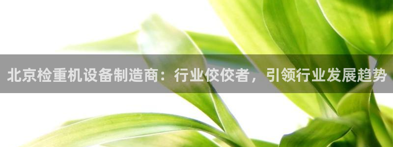威九国际小广告：北京检重机设备制造商：行业佼佼者，引领行业发