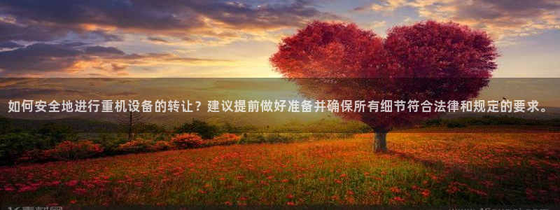 威九国际网站进入产品中心怎么进：如何安全地进行重机设备的转让
