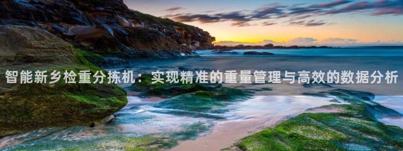 威九国际ppt免费：智能新乡检重分拣机：实现精准的重量管理与