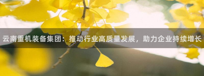 威九国际ft：云南重机装备集团：推动行业高质量发展，助力企业