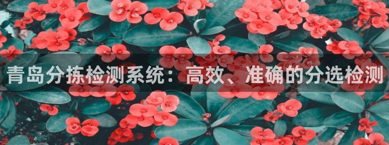 威九国际和之前：青岛分拣检测系统：高效、准确的分选检测