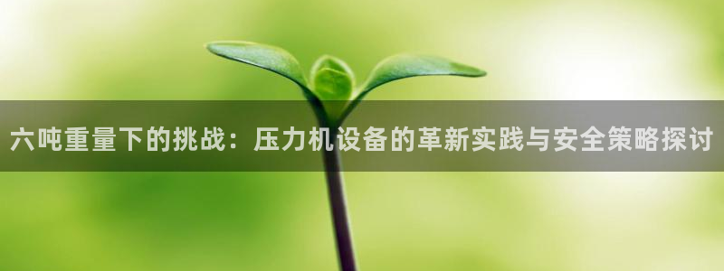 威九国际网站入口官网免费