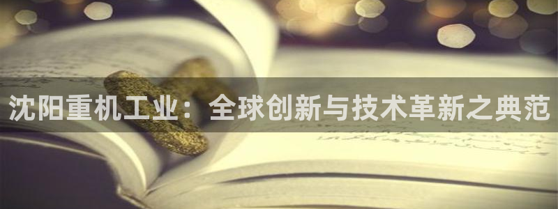 威九国际网站进入AB,AB：沈阳重机工业：全球创新与技术革新