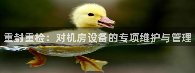 威九国际游戏app(网站)
