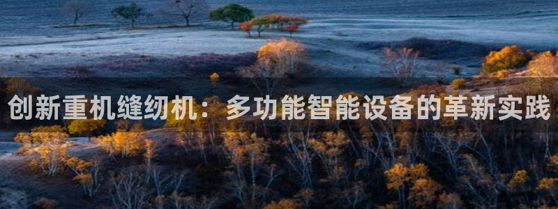 78m.ppt威九国际官网版：创新重机缝纫机：多功能智能设备