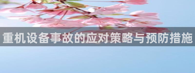 威九国际v96bet官网版