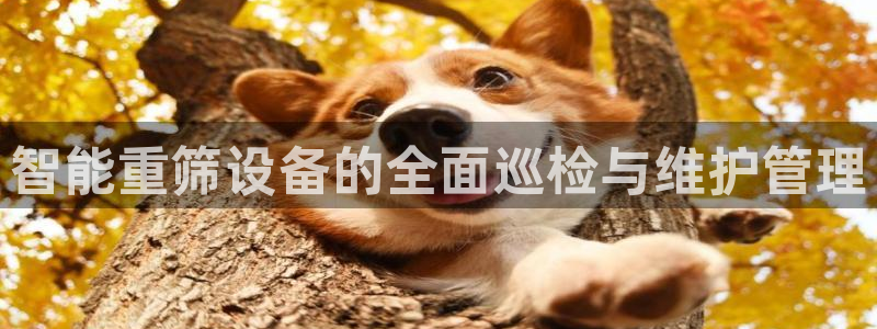 威九国际惠子：智能重筛设备的全面巡检与维护管理