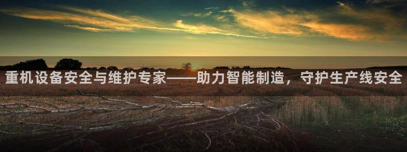 威九国际66m66大陆：重机设备安全与维护专家——助力智能制