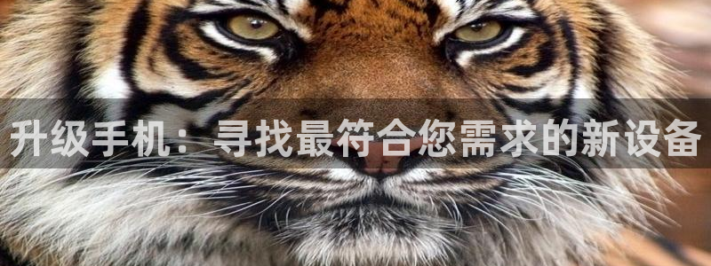 威九国际app客服电话号码：升级手机：寻找最符合您需求的新设