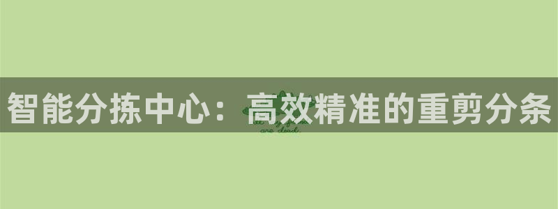 威九国际取款机怎么取：智能分拣中心：高效精准的重剪分条