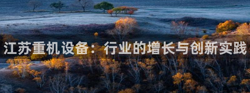 威九国际网站为什么不禁止：江苏重机设备：行业的增长与创新实践