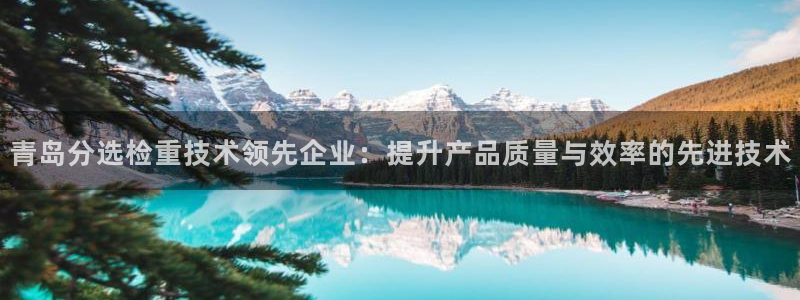 威九国际下载：青岛分选检重技术领先企业：提升产品质量与效率的
