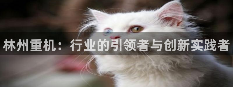 78m.ppt威九国际官网版：林州重机：行业的引领者与创新实