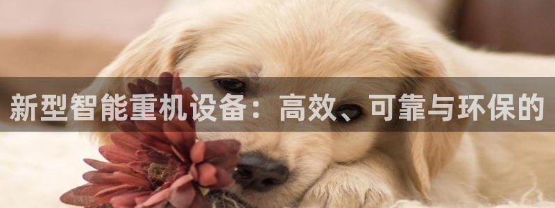 威九国际新人白发：新型智能重机设备：高效、可靠与环保的