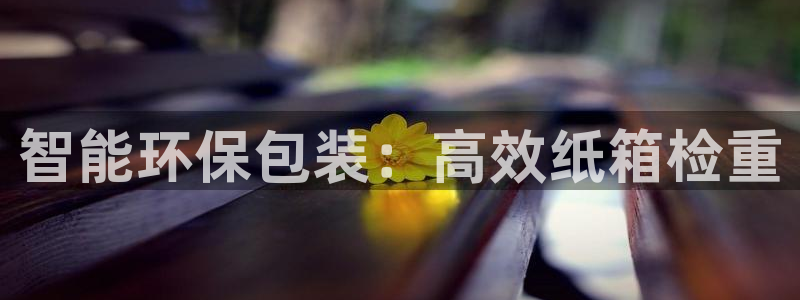 威九国际的金融服务怎么样