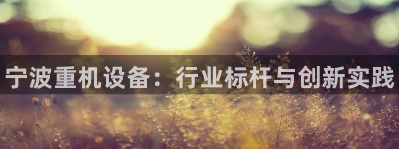 威九国际演员名单