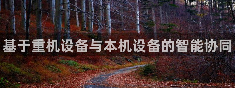 威九国际app客服电话