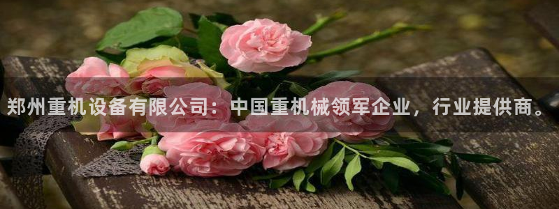 威九国际78m小说