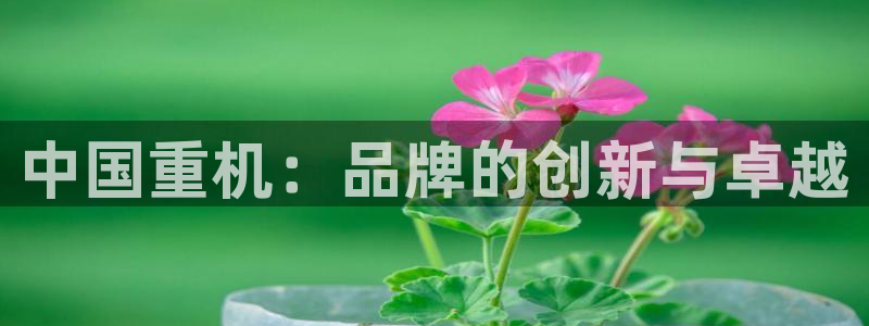 66m威九国际精选