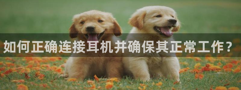 威九国际AN：如何正确连接耳机并确保其正常工作？