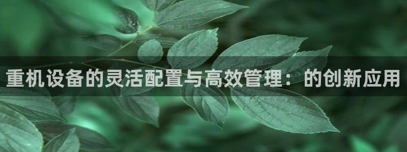 威九国际网站经常打不开怎么办：重机设备的灵活配置与高效管理：