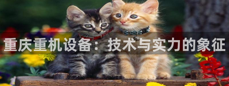 威九国际78mob游戏特色：重庆重机设备：技术与实力的象征