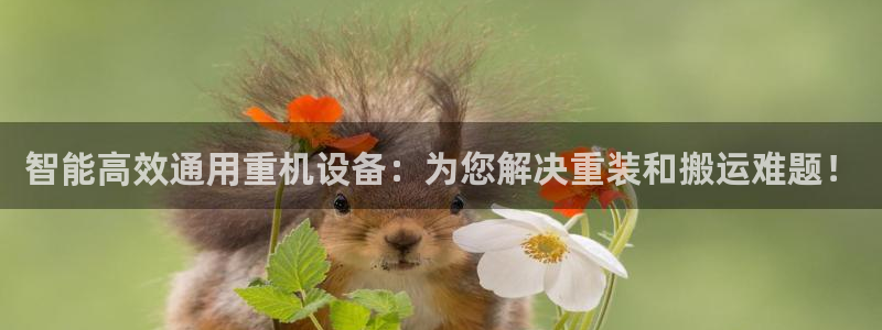 威九国际网站影视：智能高效通用重机设备：为您解决重装和搬运难