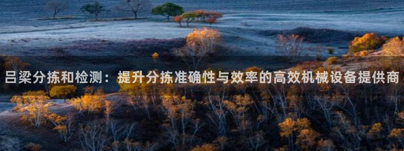 威九国际图片：吕梁分拣和检测：提升分拣准确性与效率的高效机械