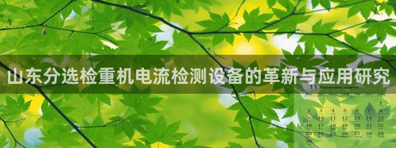 威九code6070：山东分选检重机电流检测设备的革新与应用