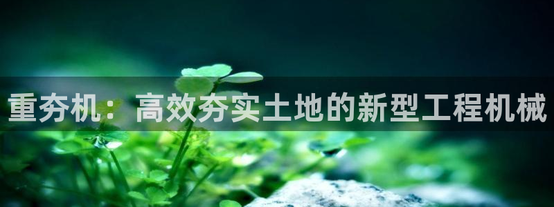 威九国际高清：重夯机：高效夯实土地的新型工程机械