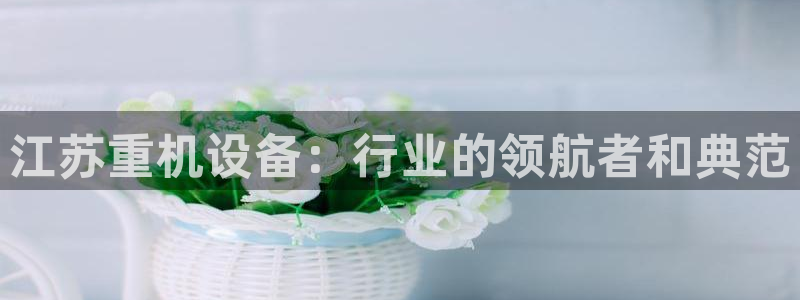威九国际66m66m：江苏重机设备：行业的领航者和典范