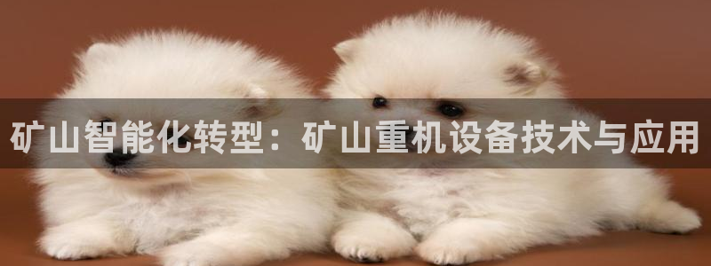 威九国际78mob游戏说明