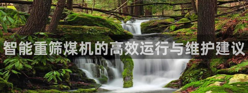 保定威九网络科技有限公司电话