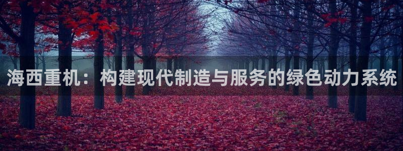 威九国际电子游戏