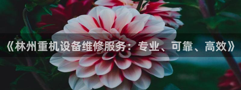 威九国际8ⅹ8x：《林州重机设备维修服务：专业、可靠、高效》