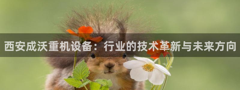 威九国际网站客服电话多少号