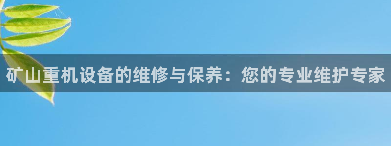 威九国际APP入口：矿山重机设备的维修与保养：您的专业维护专
