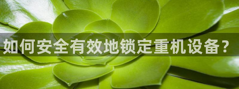 威九国际演员表：如何安全有效地锁定重机设备？