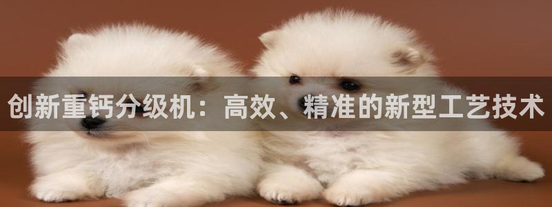 威九国际78mb 视频：创新重钙分级机：高效、精准的新型工艺