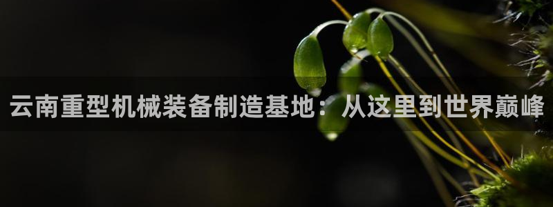 78mapp威九国际免费官方版下载：云南重型机械装备制造基地