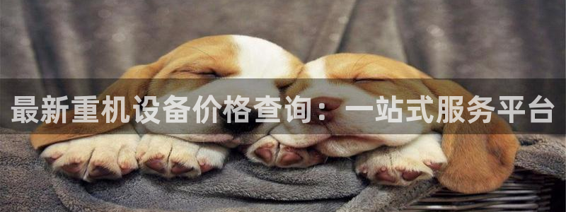 威九国际的金融服务：最新重机设备价格查询：一站式服务平台