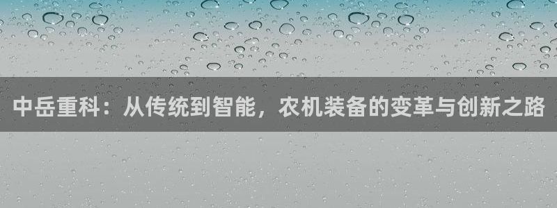 威九国际可以赚到钱