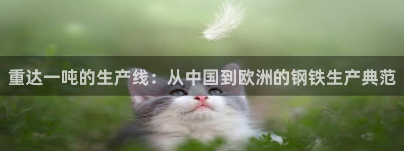 威九国际精免费下载