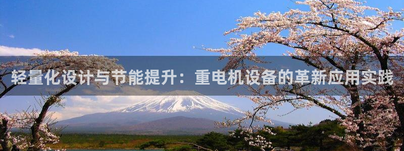 威九国际如何下载：轻量化设计与节能提升：重电机设备的革新应用