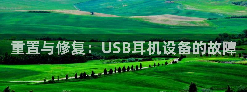 威九国际女明星：重置与修复：USB耳机设备的故障