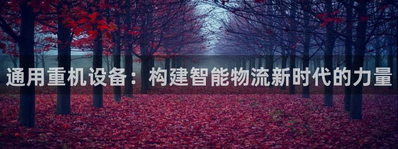 威九国际66mm66：通用重机设备：构建智能物流新时代的力量