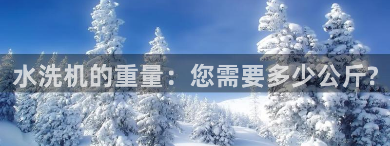 威九国际女星：水洗机的重量：您需要多少公斤?