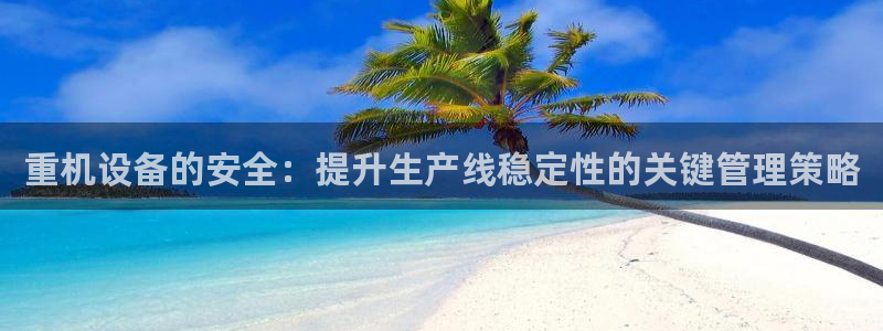 威九国际成长模式怎么样：重机设备的安全：提升生产线稳定性的关