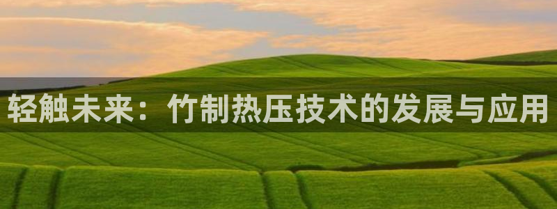 威九国际网站入口官网首页下载：轻触未来：竹制热压技术的发展与