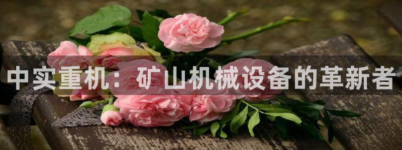威九国际第一页：中实重机：矿山机械设备的革新者